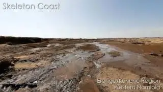 The Skeleton Coast