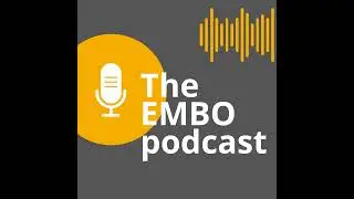 &ldquo;A steppingstone to an Open Science future&rdquo;: EMBO Press moves to full Open Access