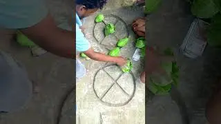 Eskos da matir geme video 
