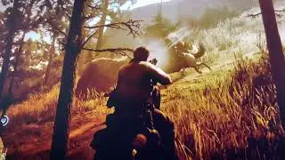 Random rdr2 video I made ( low honor my first time ) 