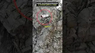 Самая сложная работа в мире!