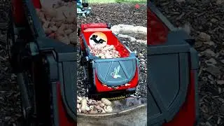 HUGE Snack Drop #шорты #животные