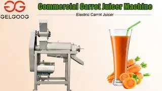 Commercial Carrot Juicer Machine Carrot Juice Maker Price