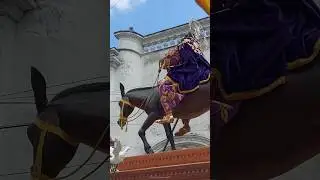 Procesi&oacute;n de Jes&uacute;s de las Palmas Rector&iacute;a San Miguel de Capuchinas  Domingo de Ramos 2025