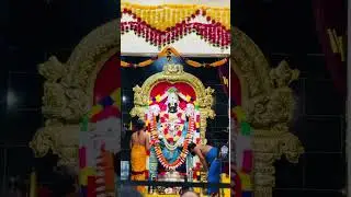 తొలి ఏకాదశి శుభాకాంక్షలు 🌿 శ్రీహరి ఆశీస్సులతో 🙏✨ #ytshorts #shortsfeed  #srivenkateswaraswamy