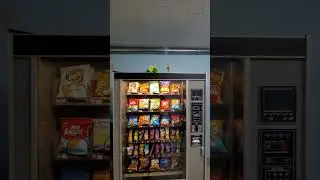 Zuru Robo Alive Lurking Lizard on A Vending Machine (See Description) #shorts