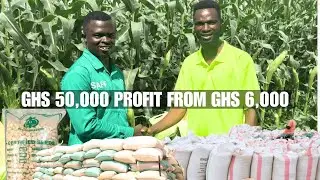 GHS 50,000 PROFIT! 😱 Farmer Isaac turned GHS 6,000 into a maize fortune in just 3 months.