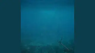 Anchors