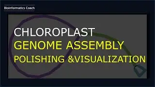 Chloroplast Genome assembly and visualization