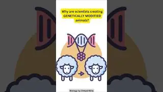 Transgenic Animals | NCERT Class 12 Biology | CUET UG 2026 #cuet