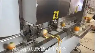 apple lemon peeling machine orange apple peeling machine for sell