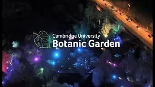 Cambridge Botanic Lights 2024