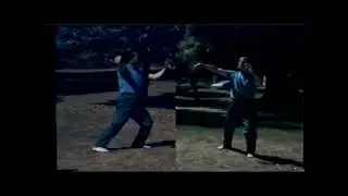 Tai Chi Chuan 108 Master Raymond Chung (Chung YanMan)