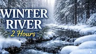 Winter River Deep in the Forest | 2 Hours of Nature Sounds & Calm | Stress Relief | Nature's Memory
