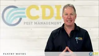 CDI Pantry Moths