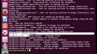 How to use APT command in Linux