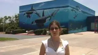 Wyland Whaling Wall # 53 at South Padre Island, Texas