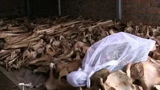 20 ans après le génocide, le Rwanda en plein travail de mémoire