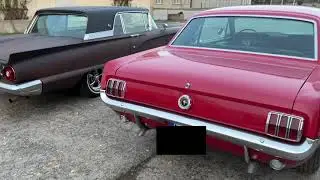 Vergleich Standgas Mustang 289 '65 vs Thunderbird 352 '58