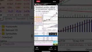 Прибыль Михаила 200% через месяц индивидуального обучения