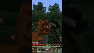 What is this? #hardcoremc #minecraft