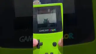 Japan Exclusive Pokemon Green On Gameboy Color!