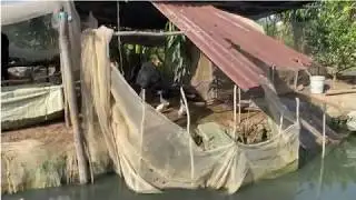 // Tập 4//Đi h&aacute;i tr&aacute;i stiso đỏ v&agrave;o m&ugrave;a