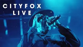 Cityfox LIVE 2020
