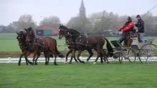 Training November 2014 - new team Félix Brasseur -