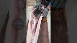 Awesome conger eel cutting skills!