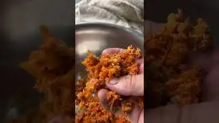 Using the plug for your LEM juicer attachment
