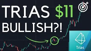 TRIAS Price Prediction | Critical Update!