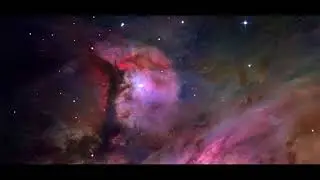 Synonym, Si-Klon, Sub-con5cience - Phobic Confinement (Cuts By DJ Coach One)