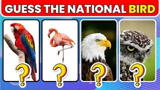 National Birds From Different Countries | Guess The 50 National Bird's Country 👀