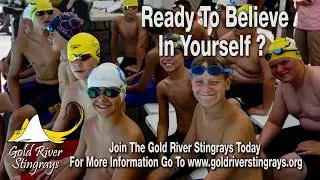 Gold River Stingrays