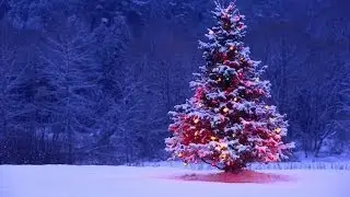 EmbraceElectric Christmas Special