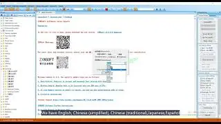 How to select server and language in ZXW Soft/ ZXW TOOLS
