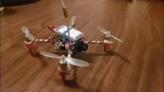 little humming bird