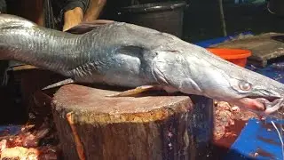 Fish Cutting Live Stream | Daily Fresh Fish Cleaning Process with Expert Fish Cutter