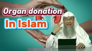 Organ Donation in Islam | Halal or Haram? Explained Clearly