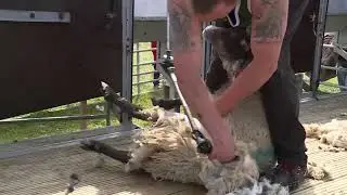 Royal Manx Agriculture Show 2025