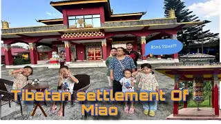 Exploring Tibetan Settlement Of Miao || Travel Vlog || Masti With Mansai