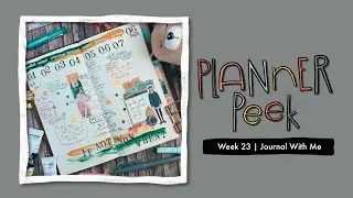Planner Peek | Week 23 + #JournalWithMe