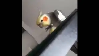 do not do that!!! deadly danger