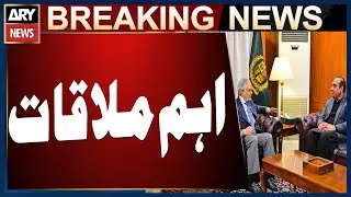 Pakistani ambassador nominee to Romania Ilyas Mehmood Nizami  meets deputy PM Ishaq Dar