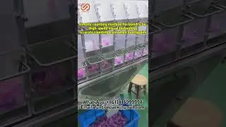 Automatic counting machine for laundry beads#countingmachine #automaticcountingpackingmachine
