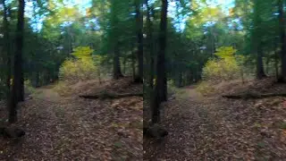 Brookville, PA - Deemer's Run VR Split screen
