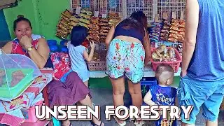 Unseen Forestry Neighborhood In Quezon City | Straight Walks To It's Long Main Road | [4K] 🇵🇭
