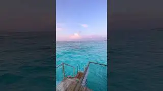 Unleash the Traveler in You: Global Inspiration on Video. #maldives  #wanderlust #explore #nature