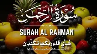 Surah Ar-Rahman | فَبِأَيِّ آلَاءِ رَبِّكُمَا تُكَذِّبَانِ 🤍 Most Beautiful Recitation